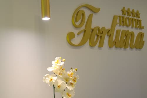 Hotel Fortuna, Reception