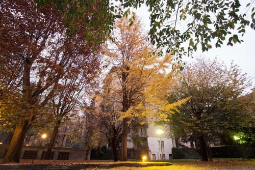 IH Hotels Milano ApartHotel Argonne Park, Property grounds