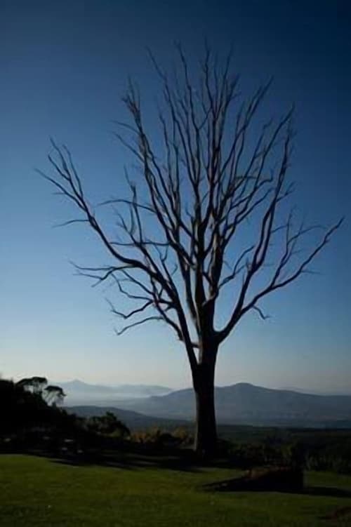 Kings Walden Garden Manor, Property grounds