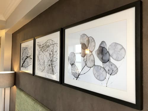 Belaire Suites, Room