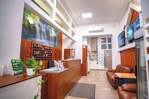 Silver Hotel Budapest City Center, Interior entrance