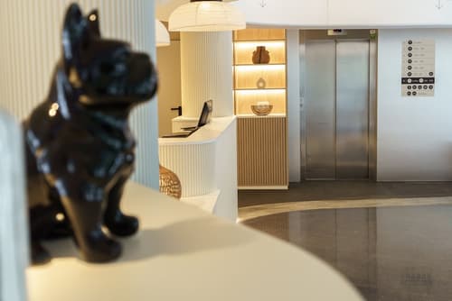 Casa Lit Barcelona, Reception