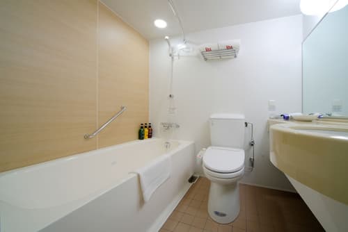 Richmond Hotel Narita, Room