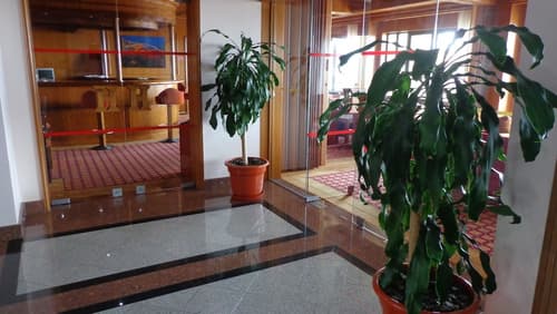 Hotel Horta, Interior entrance