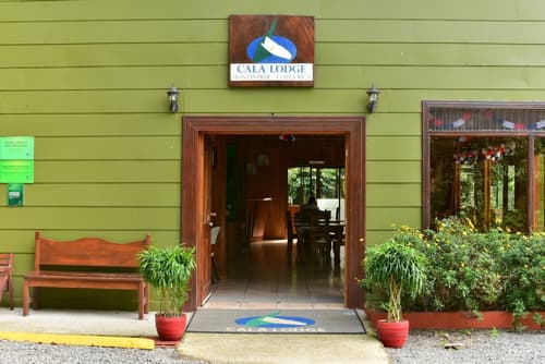 Cala Lodge, Reception