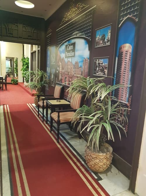 Cairo Paradise Hotel, Terrace/patio