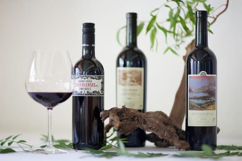 Hotel Edelweiss Wengen, Property amenity