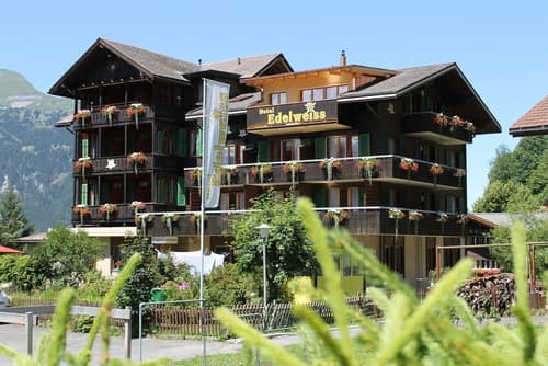 Hotel Edelweiss Wengen, Primary image