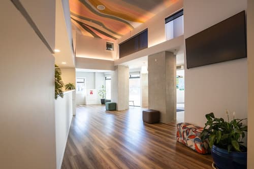 Haka House Wellington, Reception