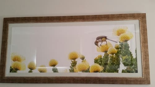 Pumula Lodge Guesthouse Knysna, Room