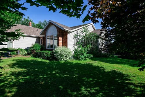 Lily's Garden, Primary image