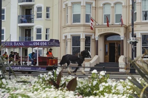 Regency Hotel, Primary image