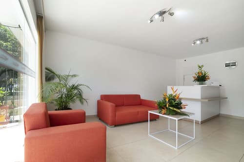 Ayenda 1240 Megua, Reception