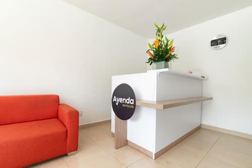 Ayenda 1240 Megua, Lobby