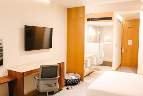 Hotel Mio Vallarta - Adults Only, Room