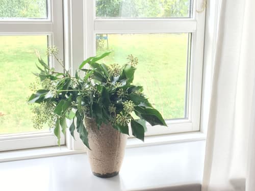 Spangsgaard bed and breakfast, View from room