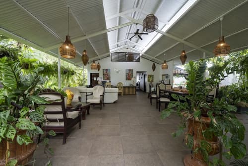 Hotel Tortuguero Beachfront, Reception
