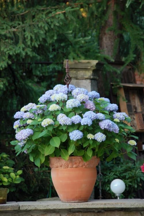 Strohhutmanufaktur, Exterior detail