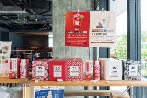 Hotel Cocktail Stay Naha, Reception