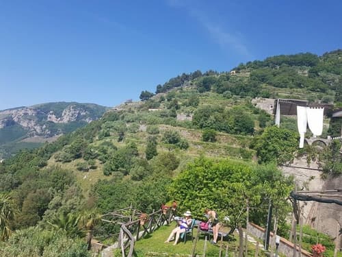 Casa Falcone B&B, Garden