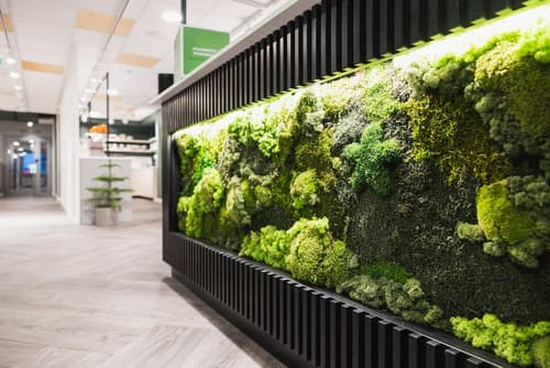 GreenStar Hotel Vaasa, Reception