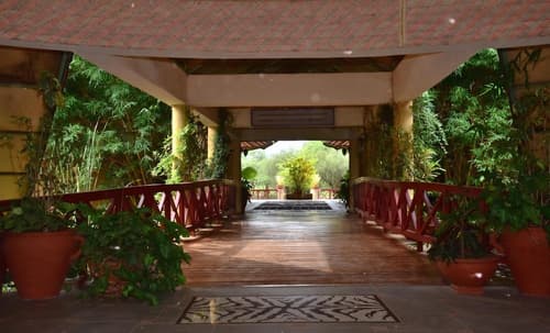 Kilima Safari Camp, Property grounds