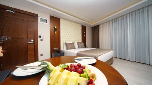 My Dream Istanbul Hotel, Room