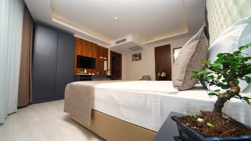 My Dream Istanbul Hotel, Room