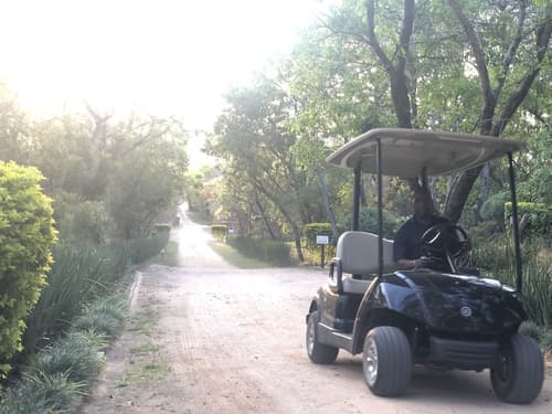 Tranquil Nest, Primary image