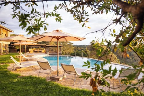 Olesamara Collection, Primary image