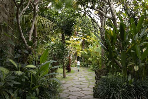 Adiwana Unagi Suites, View from room