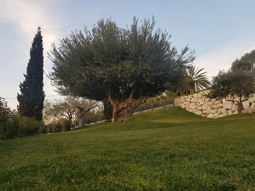 Hotel Villa Flora Relais, Garden