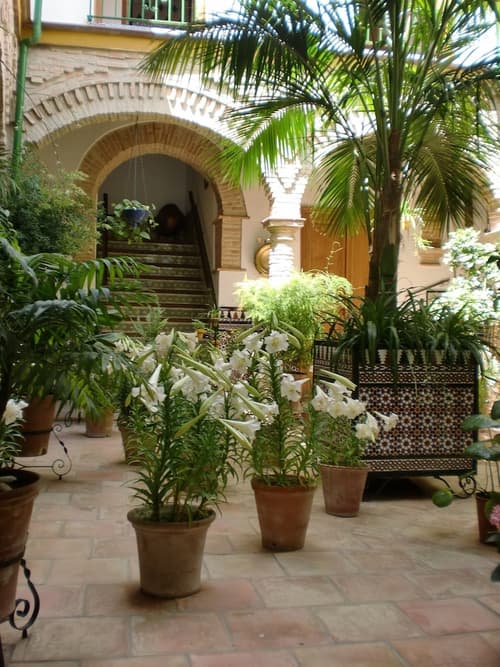 Hostal Comercio, Terrace/patio