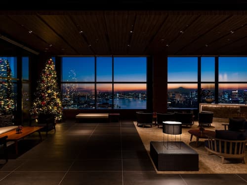 Mitsui Garden Hotel Toyosu Premier Tokyo, Primary image