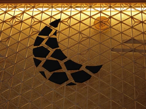 lili kyoto, Reception