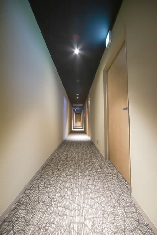 lili kyoto, Reception