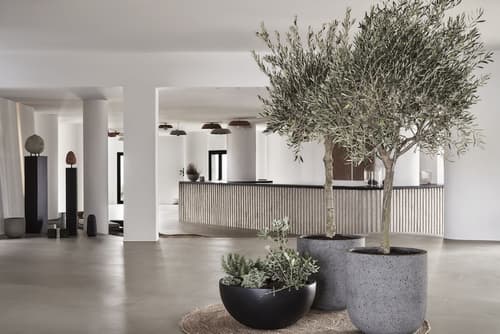 Orama Hotel & Spa, Reception