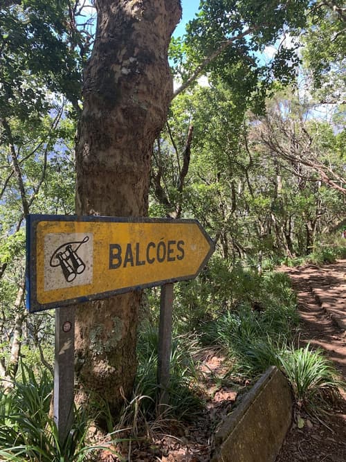 Casa do Ribeiro Frio, Hiking