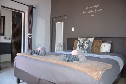 Sauvignon Country Lodge, Room