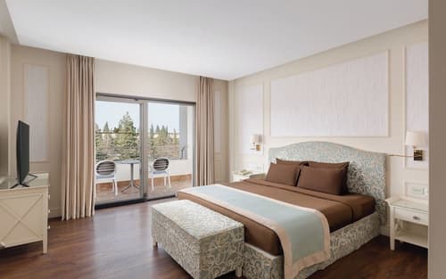 Garabagh Resort & Spa Naftalan, Room