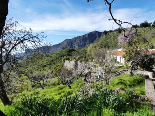 Mountain Hostel Finca la Isa, Exterior
