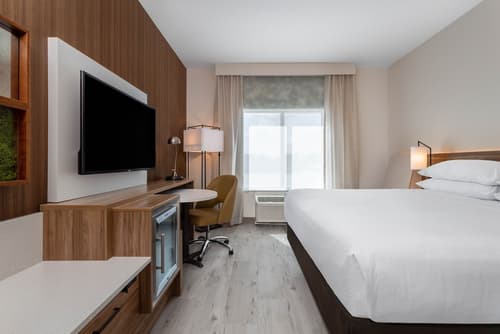 Wyndham Garden Orlando Universal / I Drive, Room