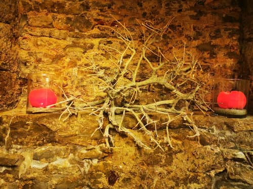 Hotel Herrnschloesschen, Interior detail