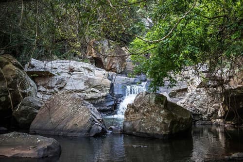 Living Heritage Koslanda, Miscellaneous