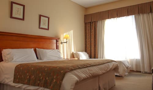 Terrazas del Calafate, Room