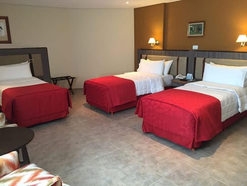 Las Dunas Hotel, Room