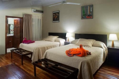 Selva Verde Lodge, Room