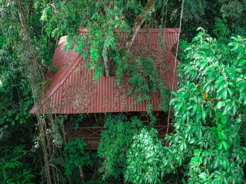 Maquenque Eco Lodge, Room