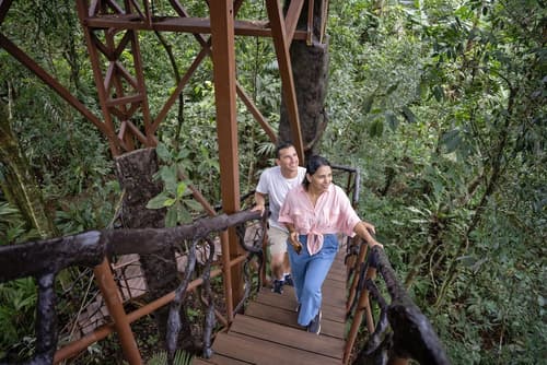 Maquenque Eco Lodge, Room