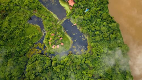 Maquenque Lodge, Primary image